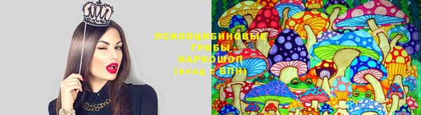 MDMA Алексеевка