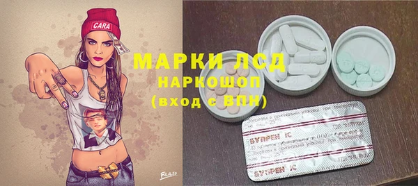 СК Арсеньев