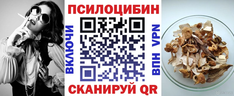 сколько стоит  Чадан  mega ссылка  Галлюциногенные грибы мухоморы 